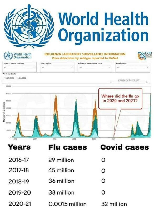 Where Did The Flu Go